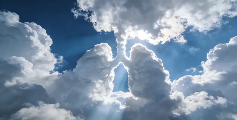 防城港肺癌靶向120基因检测（组织）图片1