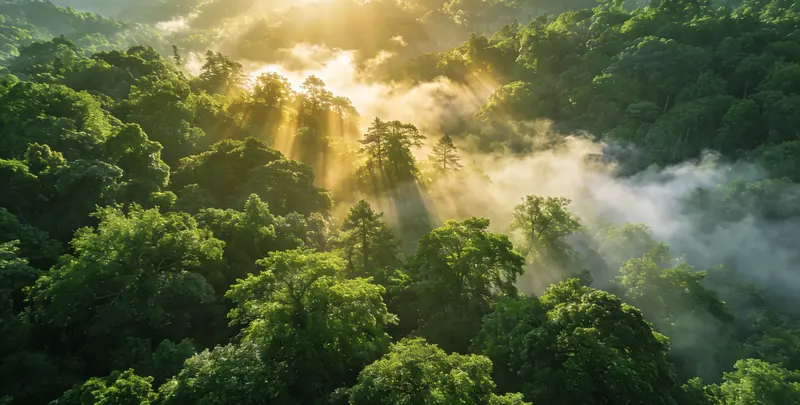 防城港肺癌12基因ctDNA突变检测(血液）图片1