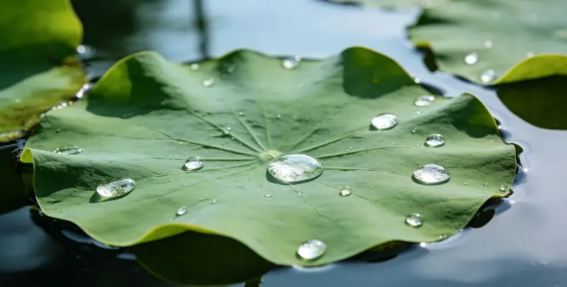 防城港乳腺癌21基因mRNA表达分析图片1