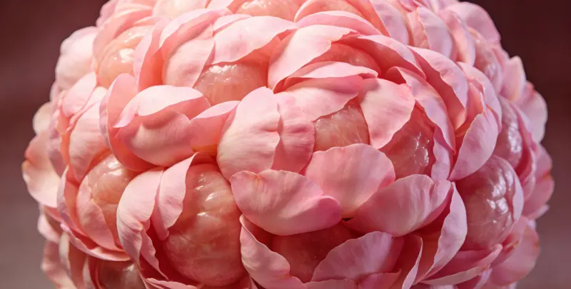 防城港BRCA1/2乳腺癌卵巢癌基因检测图片1